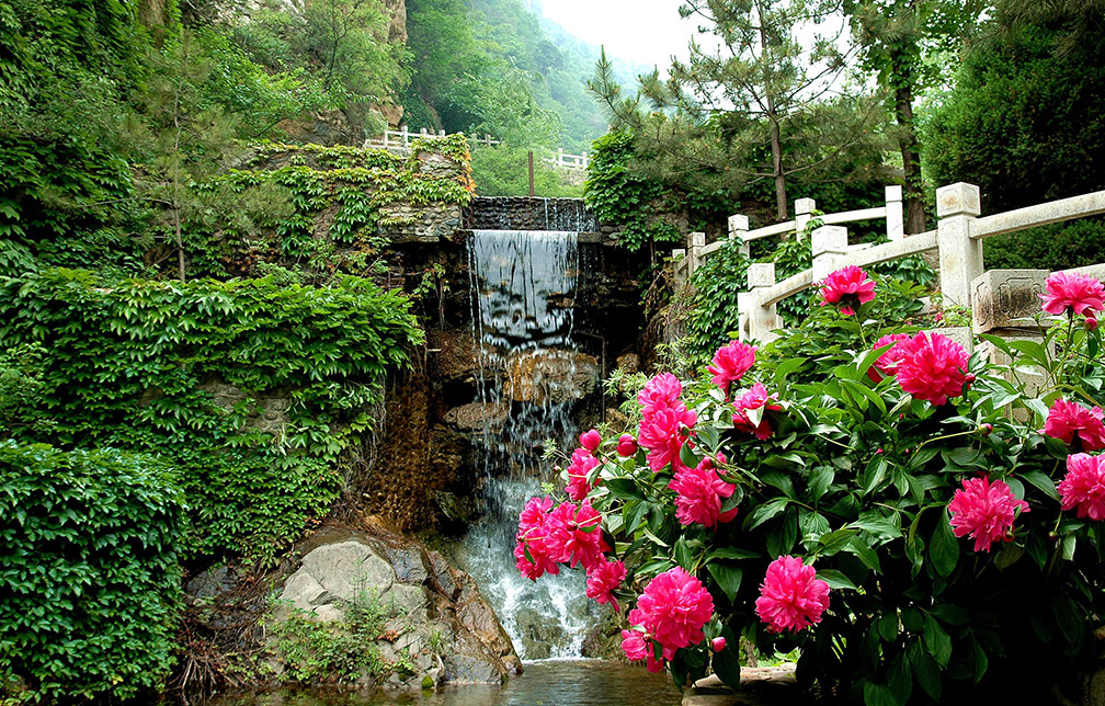 養(yǎng)生旅游度假區(qū)文化景觀設(shè)計圖片